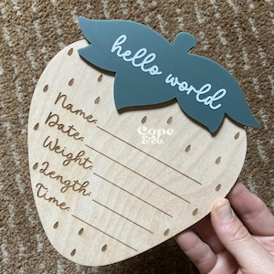 Strawberry Birth Stats Announcement | Birth Announcement | Baby Announcement Sign | New Baby | Photo Prop | Strawberry Sign | Baby Shower