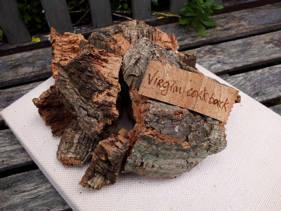 Virgin Cork Bark Pieces Natural Material for Terrarium Etsy