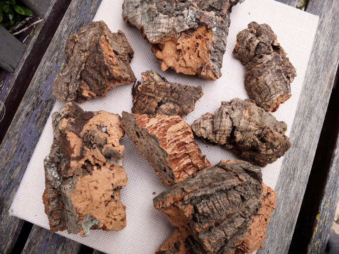 Virgin Cork Bark Pieces Natural Material for Terrarium Etsy
