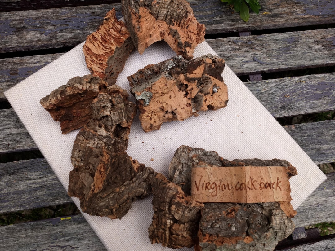 Virgin Cork Bark Pieces, Natural Material for Terrarium Decoration