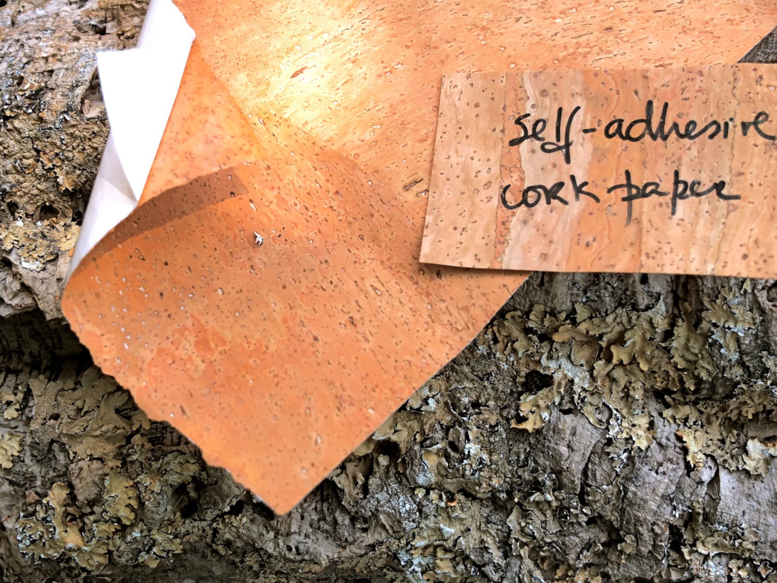 Selfadhesive Cork Paper Sheet 25x35cm 9 7/8 X 13 Etsy