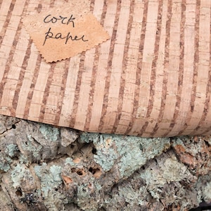 May include: A close-up of a sheet of cork paper with brown stripes. The paper is folded over a piece of natural cork bark. The text "cork paper" is written on a small piece of cork.