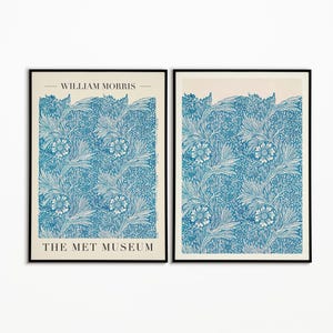 William Morris Prints, William Morris Dragonfly, Botanical Prints, Exhibition Posters, Dragonfly Print, William Morris Gift idea, Wall Art