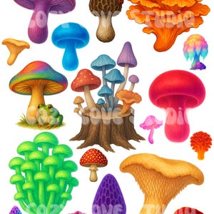 MUSHROOM Stickers Vinyl Stickers 10-50 Pcs Random pack FREE Shipping laptop stickers Anime Sticker Mushroom design Planner Journal Stickers