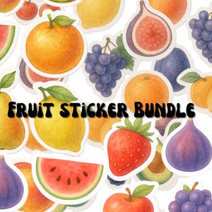 Fruit stickers Food stickers Sticker flakes Cricut Sticker kawaii Sticker Planner Sticker Scrapbook sticker journal stickers digital clipart