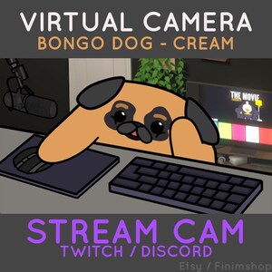 Bongodog - Cream Pug | Customizable Virtual Camera for Twitch & Discord (Custom Included)