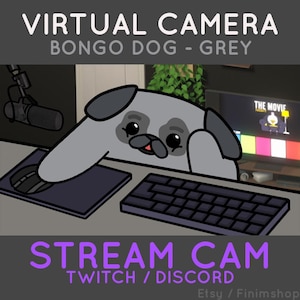 Bongodog - Grey Pug | Customizable Virtual Camera for Twitch & Discord (Custom Included)