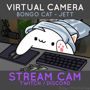 Bongocat - Jett Agent Valorant | Customizable Virtual Camera for Twitch & Discord (Custom Included)