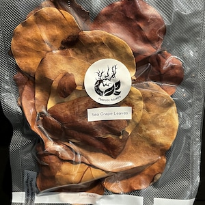 May include: A clear plastic bag filled with dried sea grape leaves. The bag is labelled "Hypnotic Aquatics" and "Sea Grape Leaves".