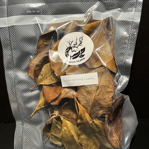 May include: A transparent plastic bag containing dried Indian Almond Leaves. The leaves are various shades of brown and tan. A white label with the text "Indian Almond Leaves" is visible. A round sticker with a tree-like design is also visible.