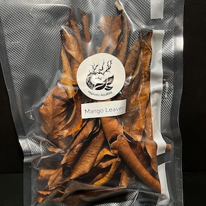 May include: A clear plastic bag filled with dried brown mango leaves. The bag has a white label with the text "Hypnotic Aquatics" and "Mango Leaves".