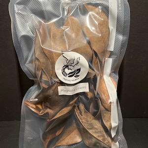 May include: A clear plastic bag filled with dried magnolia leaves. The bag has a label that says "Hypnotic Aquatics" and "Magnolia Leaves".