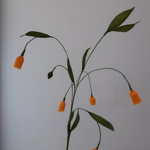 Sandersonia - Etsy