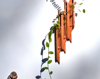 Vaso de parede em madeira de sequoia: Estação de propagação moderna com tubos de vidro.