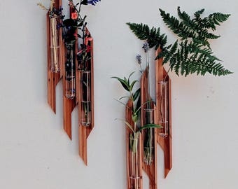Redwood Wall Vase Set – Modern Boho Plant Propagation Station