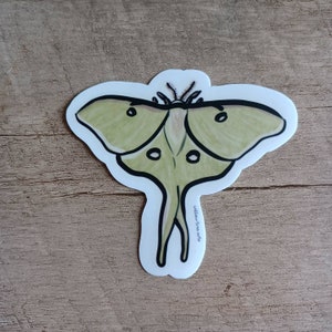 Luna Moth Sticker