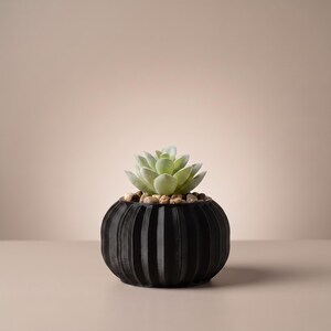 May include: A small, round, black planter with a vertical ribbed texture. The planter contains a light green succulent plant nestled among a layer of small, smooth, tan and brown decorative pebbles that fill the top of the container.
