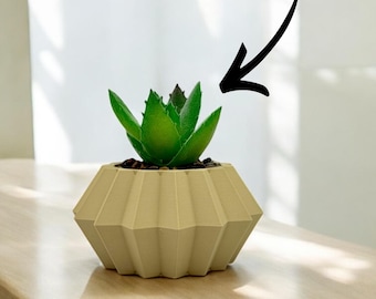 Charming Modern Planter with Lifelike Succulent - 3D Printed Home Decor