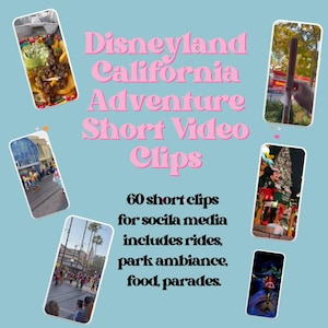 Travel Agent Video Reels | 50 DLR California Social Media Short Video Clips | Travel Agency Instagram Marketing Content to boost bookings.