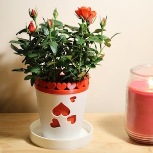 Planter/Pot with No-Overwatering system for Plant Lovers! Perfect for gift!
