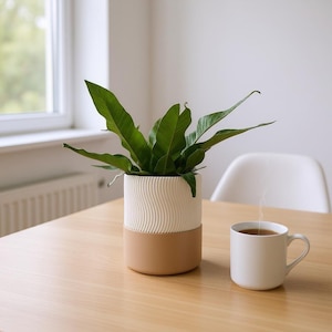 May include: A decorative ceramic planter with a wavy, textured white upper section and a tan lower section, holding a green leafy plant. A white mug with steam rising from it sits on a light wood table.