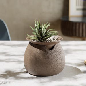 Maceta autorriego Aquaflora: moderna maceta de interior para plantas verdes de bajo mantenimiento