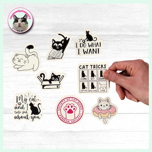 Stickers pour amoureux des chats - Imperméables - Durables (Stickers pour maman de chat) (Stickers pour chats rigolos) (Stickers pour chats sarcastiques) (Stickers pour chats mignons)