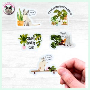 Stickers pour amoureux des plantes et des chats - Imperméables - Durables - Chats amusants - Plantes amusantes - Addicts des plantes - Chats avec des plantes - Cadeau pour amoureux des plantes