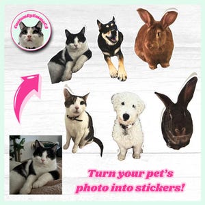 Aangepaste huisdierstickers - fotostickers voor huisdieren - waterdicht - duurzaam - maak stickers van je huisdier! - Geweldig cadeau voor dierenliefhebbers