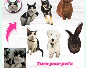 Custom Pet Photo Stickers – Waterproof, Durable Vinyl Die Cut