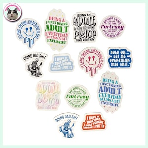 Stickers adultes drôles/sarcastiques - Imperméables - Résistants - Adultes - Humour