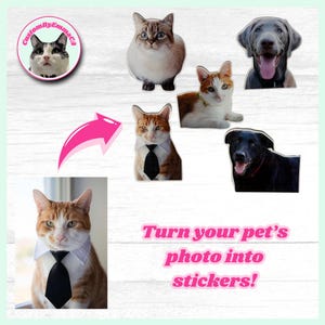 Aangepaste huisdierstickers - fotostickers voor huisdieren - waterdicht - duurzaam - maak stickers van je huisdier! - Geweldig cadeau voor dierenliefhebbers