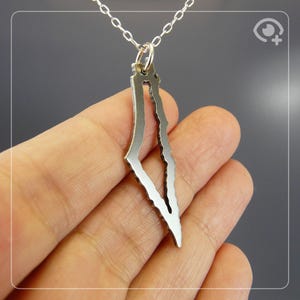 Carte de la Palestine de 1946 (argent oxydé .925) Collier fait main en argent sterling .925 - Idée cadeau