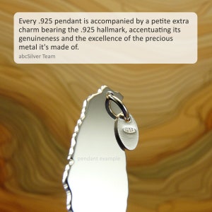 Winzige CALIFORNIA State Map Handgemachte personalisierte Sterling Silber .925 Halskette Perfektes Geschenk Bild 3