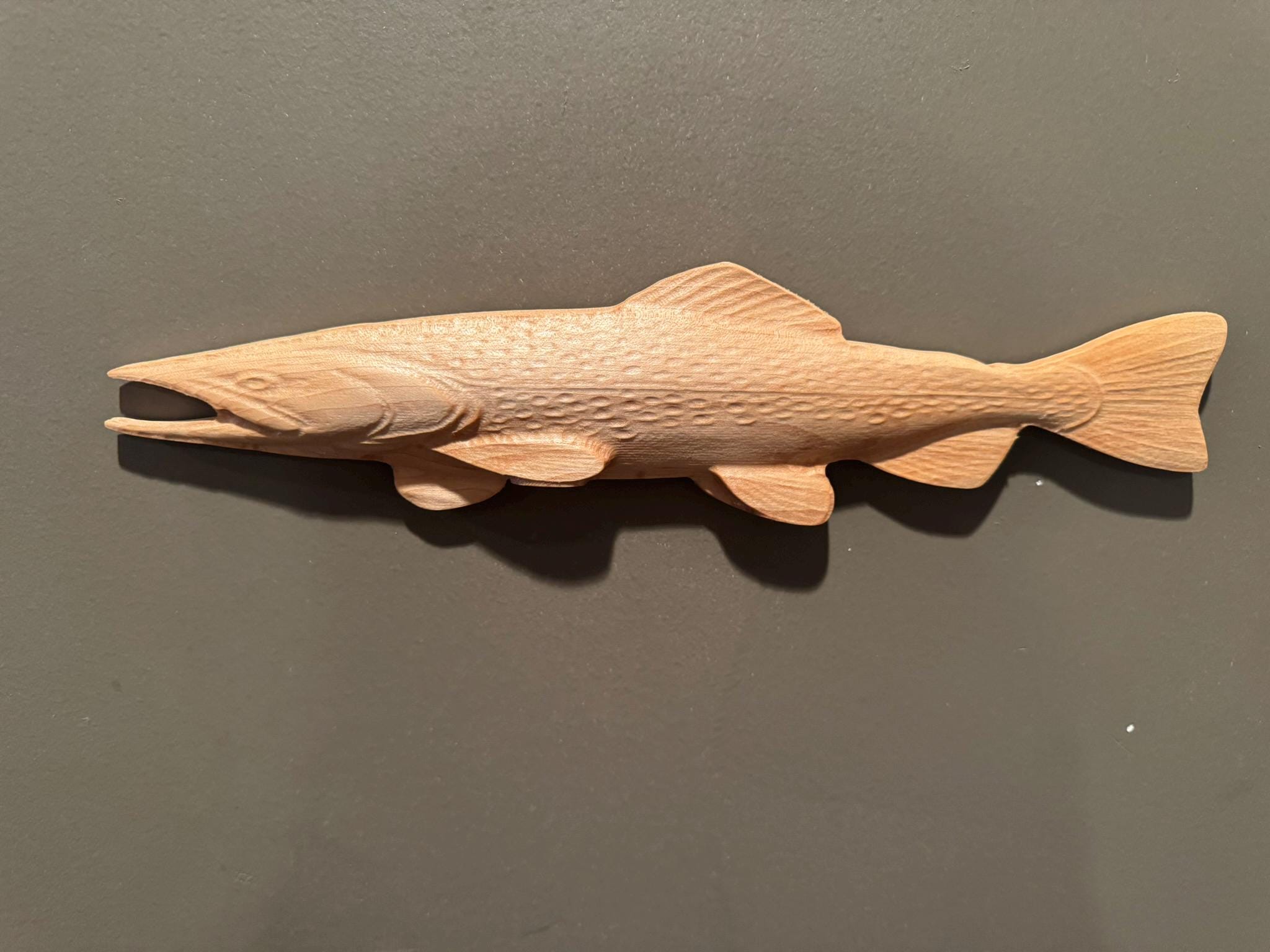 Brown trout taxidermy - Etsy 日本