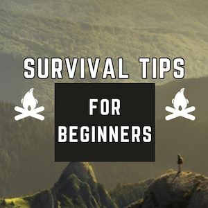Survival Tips for Beginners: survival guide