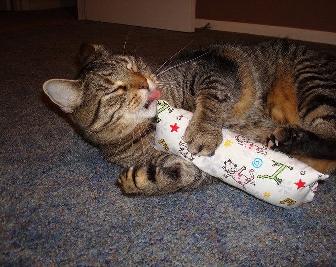 Catnip Body Pillow Drawing Cats Etsy