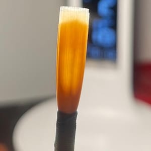 student oboe reed