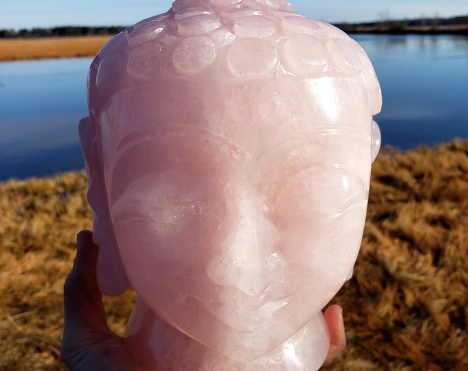 Featured listing image: XL 10 pound Rose Quartz Buddha Head Carving