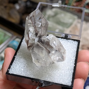 Puede incluir: Un grupo de cristales de cuarzo transparente exhibidos en una caja de plástico negro con un inserto de espuma blanca. Los cristales son transparentes con inclusiones internas. La caja se sostiene en una mano.