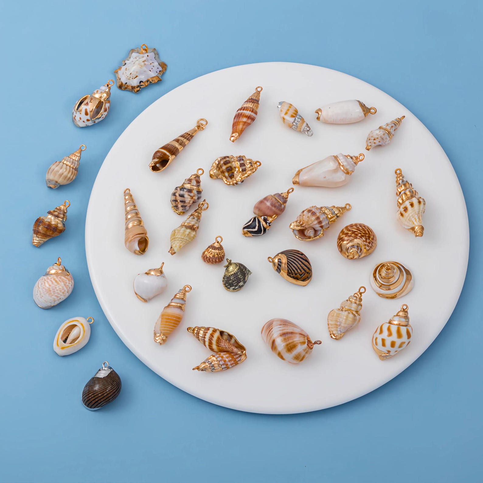 Plated Shells Natural Seashell Pendants 18K Gold Plated Beach Shell Charms for ...