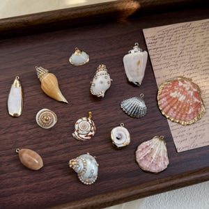 Pode incluir: Uma coleção de pingentes e berloques de conchas marinhas em várias formas e tamanhos, incluindo espirais, gotas e leques. Alguns são adornados com strass ou bordas de metal dourado. As conchas são em tons de branco, bege, rosa e prata.