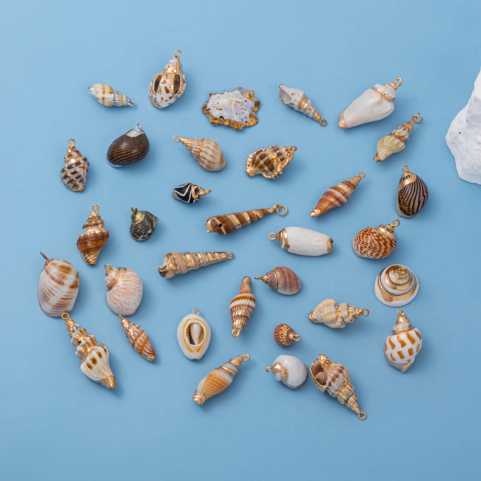 Plated Shells Natural Seashell Pendants 18K Gold Plated Beach Shell Charms for ...