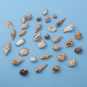 May include: A selection of seashell charms with gold-coloured detailing, arranged on a light blue backdrop. The charms showcase diverse shapes, sizes, and colours, including white, brown, and tan shells. Each charm features a small loop for attaching to jewellery or other craft projects.