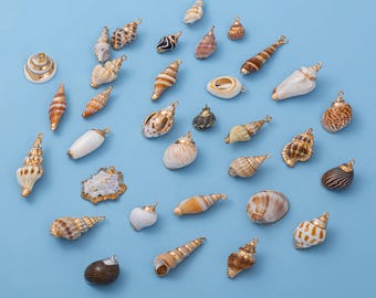 Natural Seashell Pendants 18K Gold Plated Beach Shell Charms for Jewelry Making Bulk Ocean Conch Spiral Cowrie Shells DIY Necklace Supplies