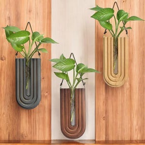 Schaffen Sie eine gemütliche Note mit unserer wandmontierten Holzvase: ideal für Hydrokulturpflanzen, Wohnkultur und Gartenhandwerk