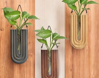 Jarrón de madera de pared: decoración hidropónica para el hogar