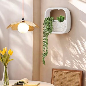 May include: White wall-mounted planter with a square shape and a clear window. The planter is filled with white gravel and features a small cactus and a trailing green plant.