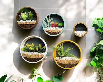 Macetero redondo de pared: decoración moderna para el hogar con piedras de colores
