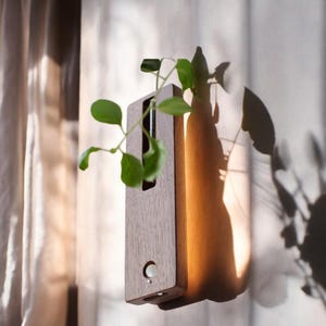 LED Floral Wood Wall Lamp | Motion Sensor, Rechargeable, Perfect for Home Decor in Corridors and Entrances